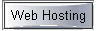 Web Hosting